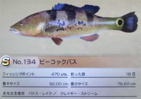 ピーコックバス タックルL