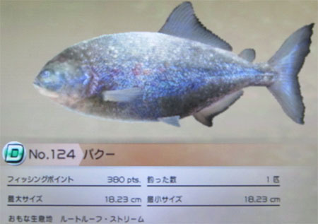 パクー タックルM