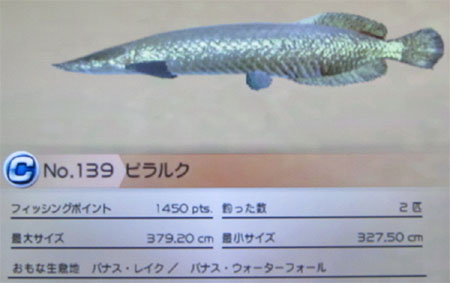 ピラルク タックルL~LL