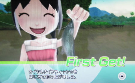 ロイヤルナイフフィッシュ
