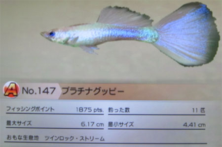 プラチナグッピー タックルS