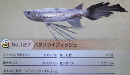 バタフライフィッシュ タックルS