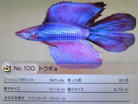 トウギョ タックルS