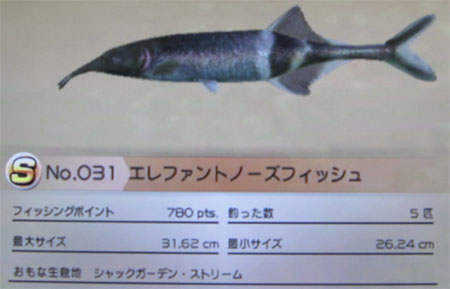 エレファントノーズフィッシュ タックルS~M
