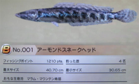 アーモンドスネークヘッド タックルM