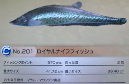 ロイヤルナイフフィッシュ タックルM