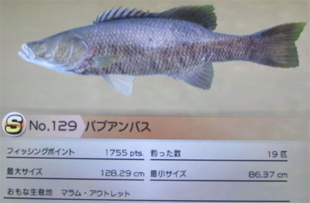パプアンバス タックルL