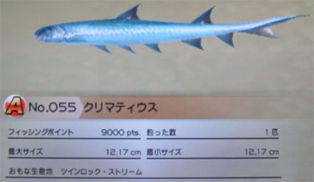 クリマティウス タックルS～M