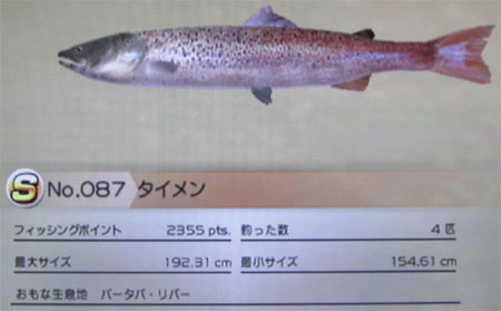 タイメン タックルL