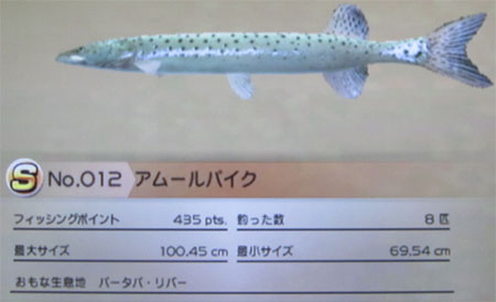 アムールパイク タックルL
