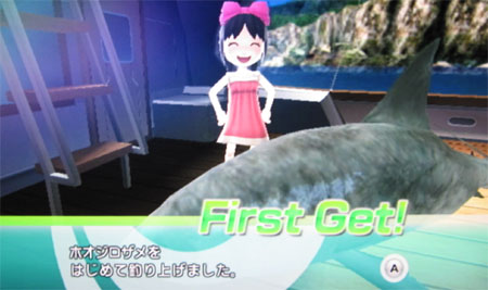 ホオジロザメ