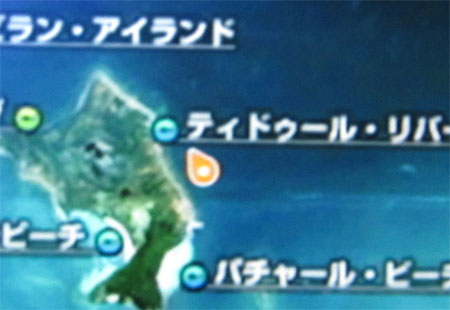 ダイオウイカの釣れた場所