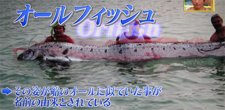 オールフィッシュ