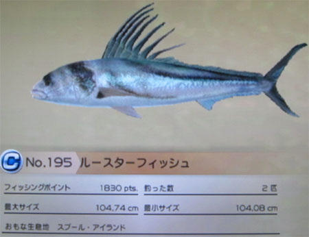 ルースターフィッシュ タックルL~LL