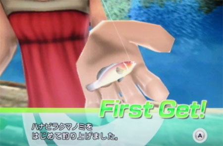 ハナビラクマノミ タックルS～M