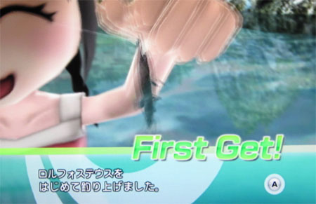 ロルフォステウス