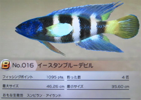 イースタンブルーデビル タックルS