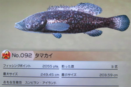 タマカイ タックルL