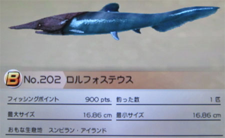ロルフォステウス タックルS～M