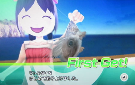 マトウダイ