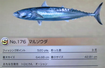 マルソウダ タックルM