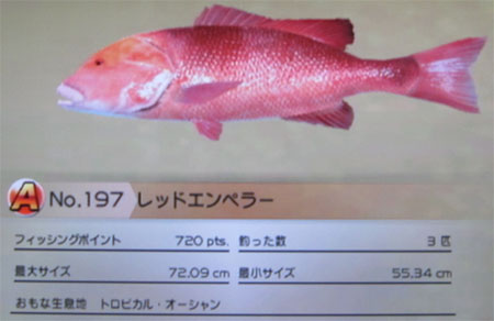 レッドエンペラー タックルL～LL
