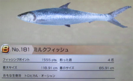 ミルクフィッシュ タックルL～LL