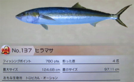 ヒラマサ タックルL～LL