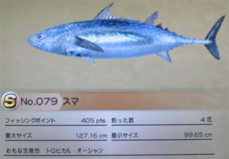 スマ タックルL～LL