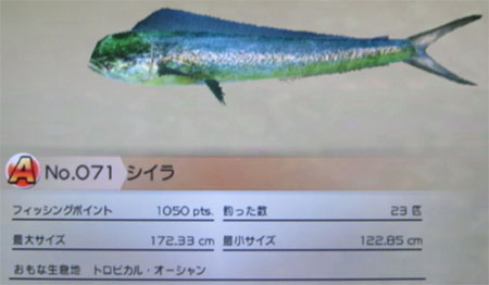 シイラ トローリング
