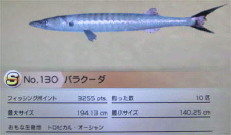バラクーダ トローリング
