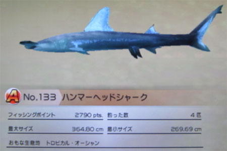 ハンマーヘッドシャーク トローリング