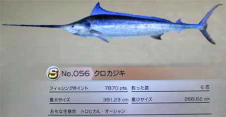 クロカジキ トローリング