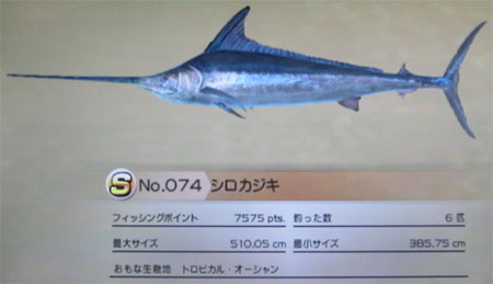 シロカジキ トローリング