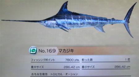 マカジキ トローリング