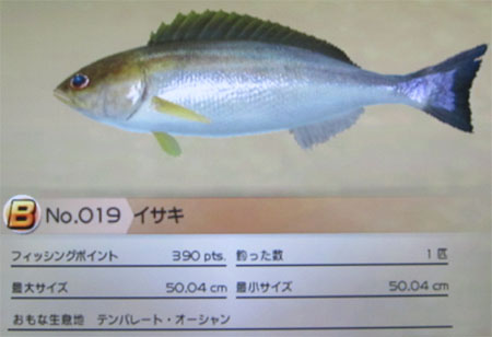 イサキ タックルM