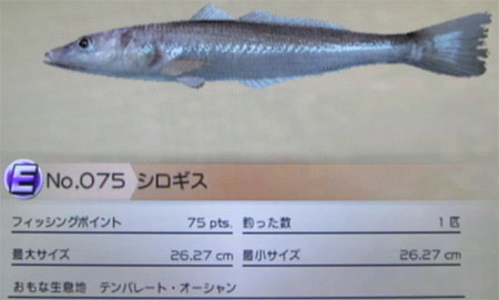 シロギス タックルM