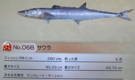 サワラ タックルL