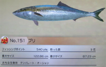 ブリ タックルL