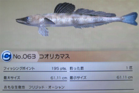コオリカマス タックルM