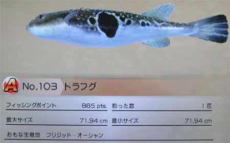 トラフグ タックルM