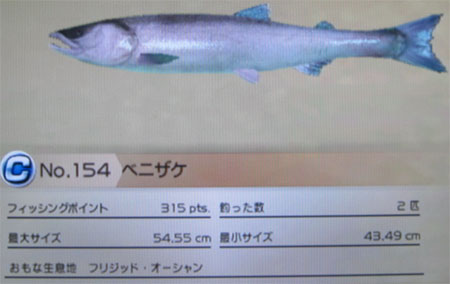 ベニザケ タックルM