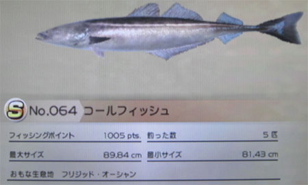 コールフィッシュ タックルL