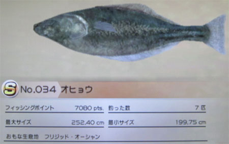 オヒョウ トローリング