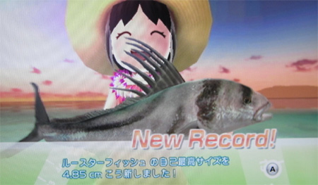 ルースターフィッシュ タックルL～LL