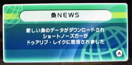 ショートノーズガーが放流されました