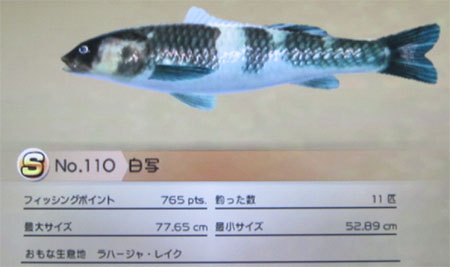 白写 タックルM