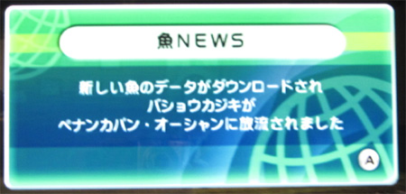 バショウカジキ放流