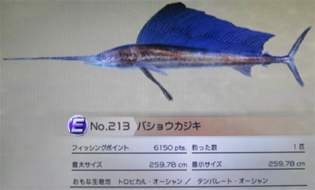バショウカジキ　トローリング