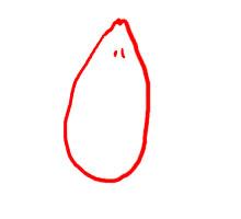 らっきょう